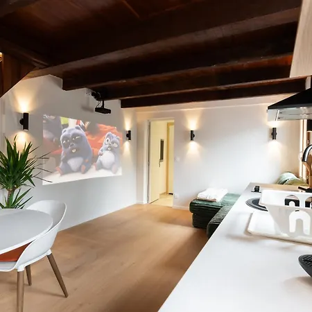 Maisonnette Avec Baignoire Balneo, Videoprojecteur Et Clim